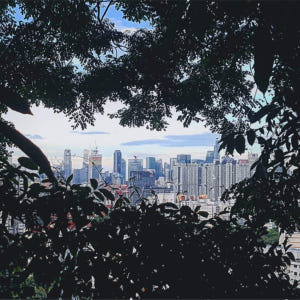 싱가포르  서던 리지스 산책로 트래킹 (X-Trekkers) 솔직 후기 | 실사용자 리뷰 분석 - 상품 이미지 1