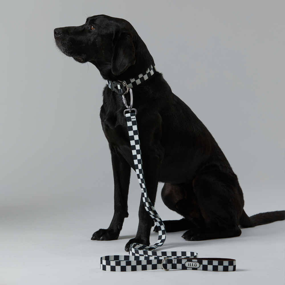 일로 맥스 리쉬 리드줄 반려견 산책용품 2m 텐텐, 2.4m 핸즈프리