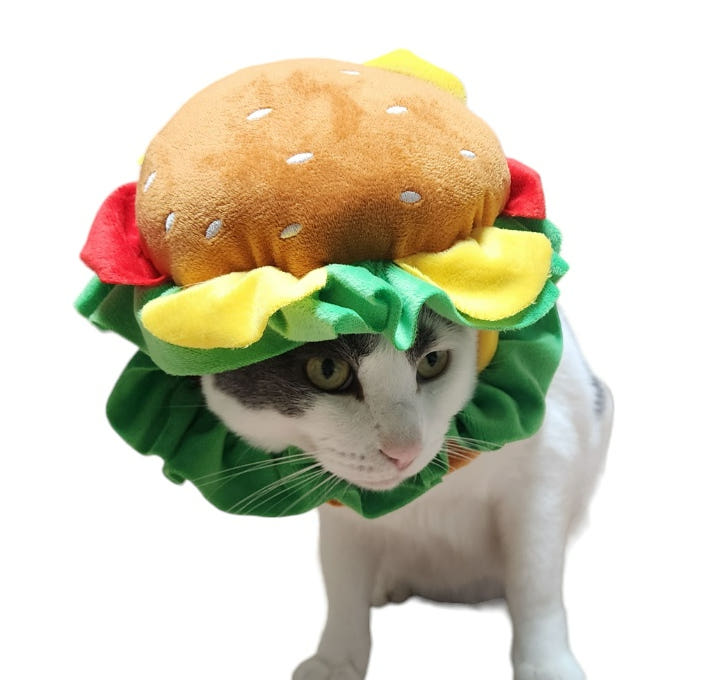 햄버거 코스튬 비교 이미지