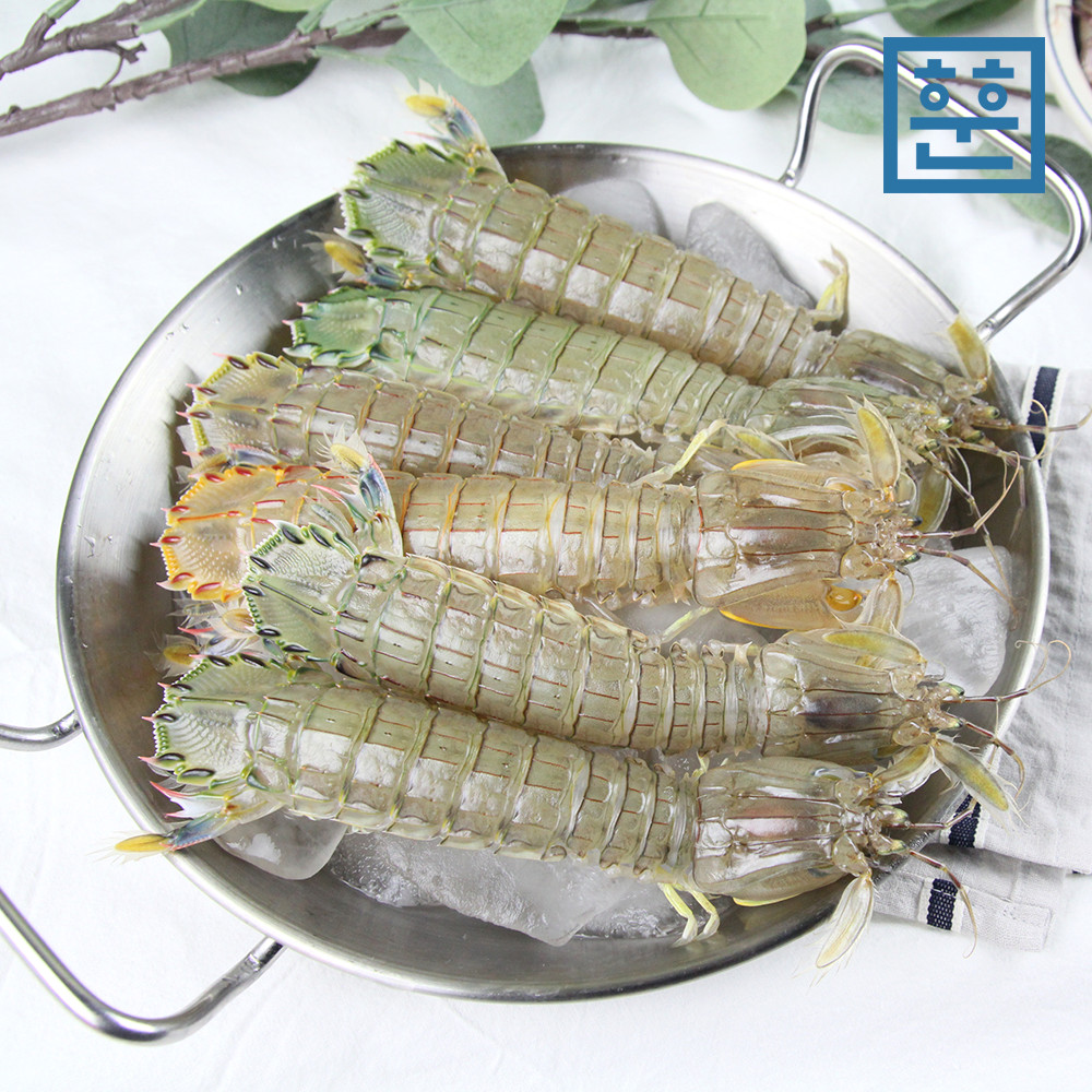 자연산 갯가재 1kg (급냉) 쏙, 털치 - 상품 이미지