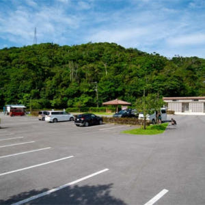 일본  오키나와 어린아이도 안심할 수 있는 얀바루 청류 트레킹 투어! 사... 솔직 후기 | 실사용자 리뷰 분석 - 상품 이미지 1