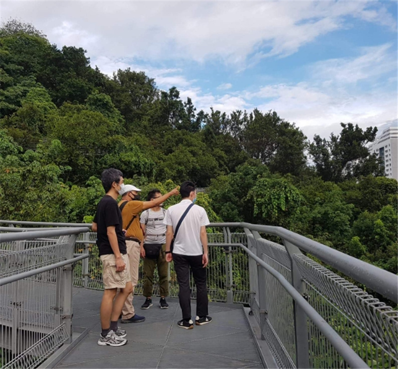싱가포르  서던 리지스 산책로 트래킹 (X-Trekkers) 이미지 4