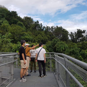싱가포르  서던 리지스 산책로 트래킹 (X-Trekkers) 솔직 후기 | 실사용자 리뷰 분석 - 상품 이미지 4
