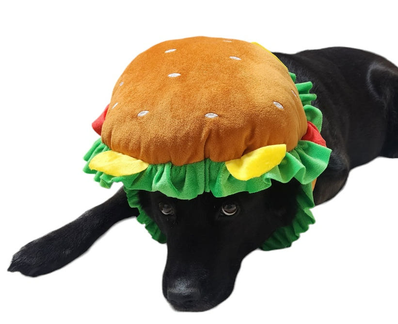 제품 상세 리뷰 이미지 1