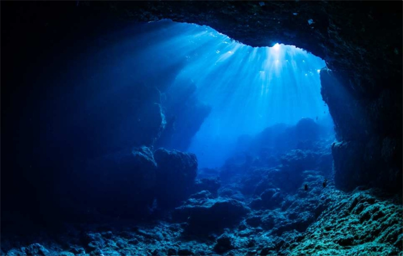 일본  오키나와 푸른동굴 스노클링, 추라우미 체험다이빙 + 사진 및 동영상 촬영 서비스 (오키나와 마에다곶) 이미지 2