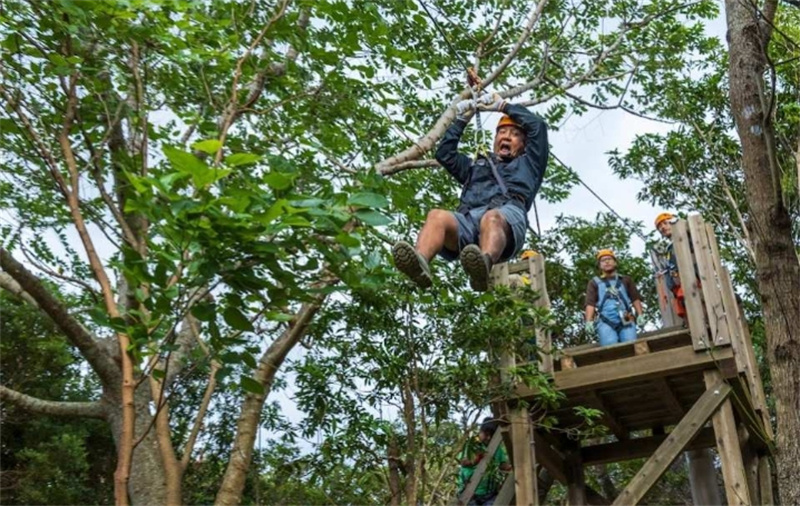 일본  오키나와 얀바루 짚라인 어드벤처 짚라인 체험 예약 얀바룬차 히가시무라 점(오키나와현 북부 얀바루 숲/액티비티) 이미지 4