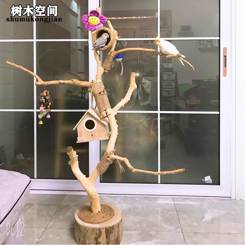 앵무새 놀이터 스탠드 나무 자바트리 대형 횟대 - 상세 이미지 2