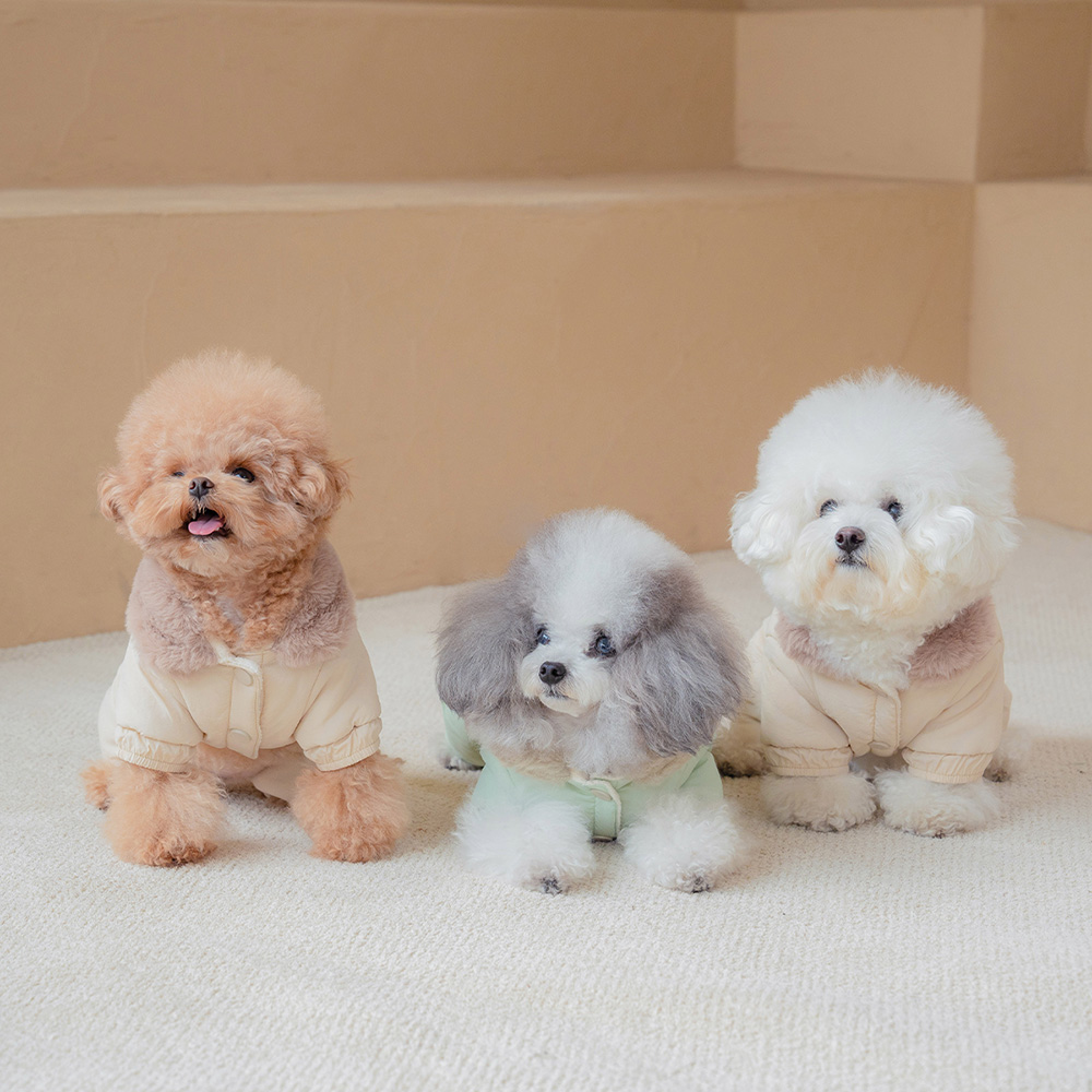 강아지올인원패딩 강아지겨울옷 토토올인원+실내복 이미지 6