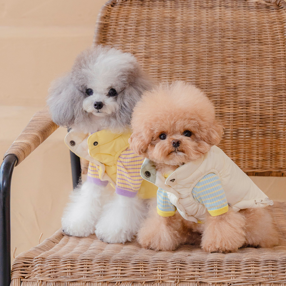 강아지 패딩 조끼 겨울옷 강아지옷 아루패딩조끼