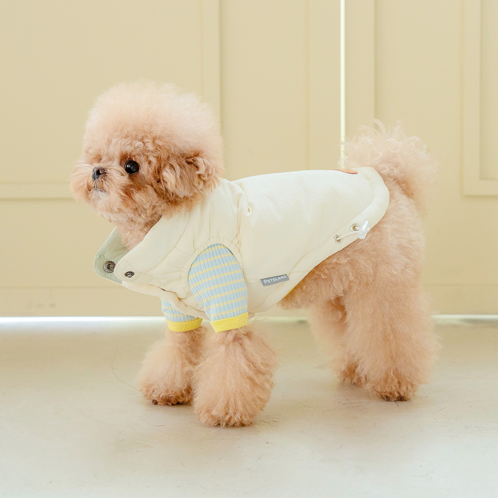 강아지 패딩 조끼 겨울옷 강아지옷 아루패딩조끼