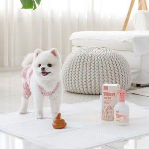 뽀숑하우스 개끗한 똥지우개 300ml 반려동물 다목적세정제 강아지 고양이... 솔직 후기 | 실제 사용자 리뷰 총정리 - 상품 이미지 2