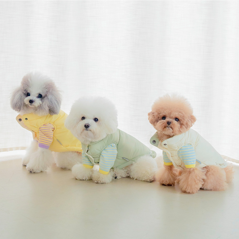 강아지 패딩 조끼 겨울옷 강아지옷 아루패딩조끼