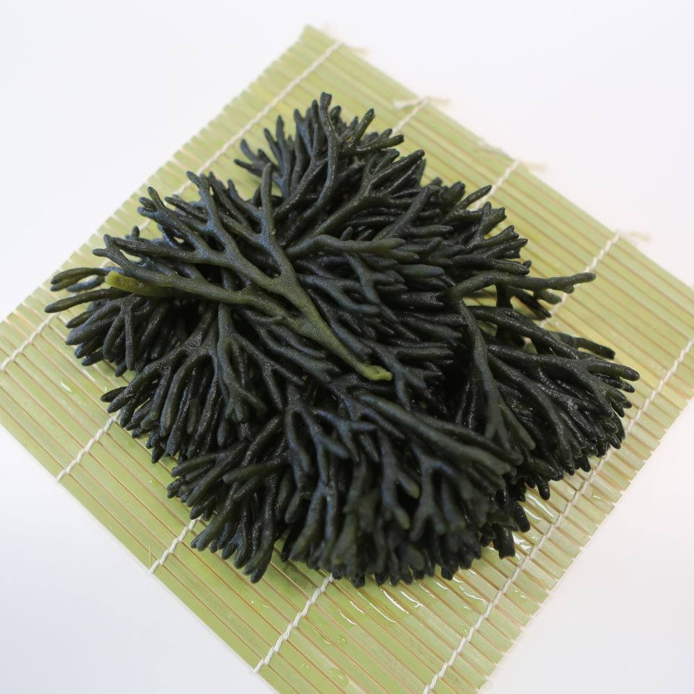 완도 청각 건청각 마른청각 500g 이미지 6