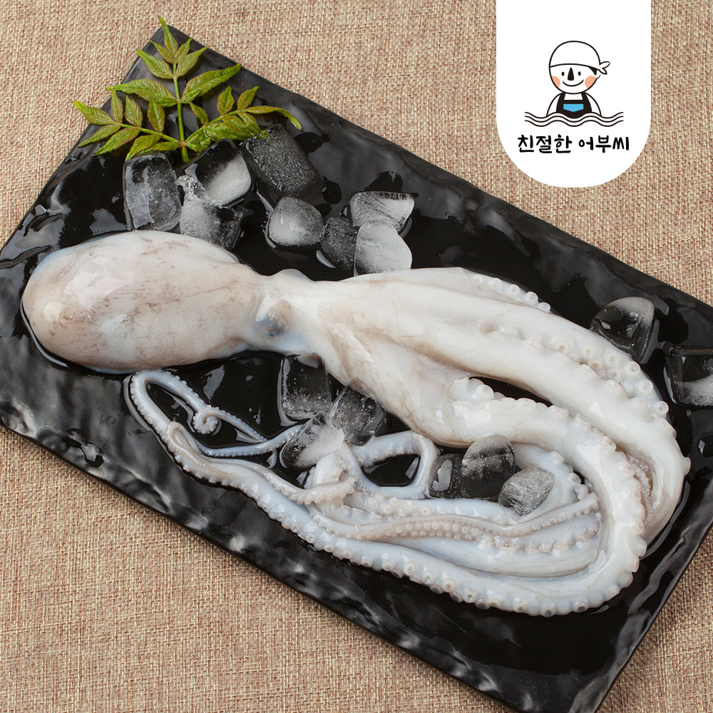 국내산 손질낙지 왕낙지 급냉 냉동 250g 350g 친절한어부씨 - 상품 이미지
