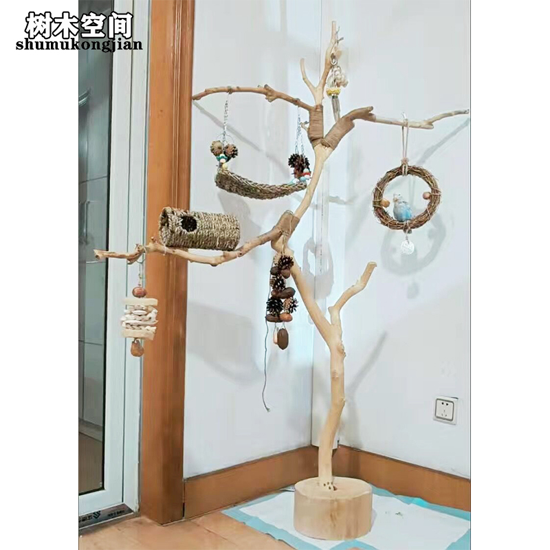 앵무새 놀이터 스탠드 나무 자바트리 대형 횟대 - 상세 이미지 3