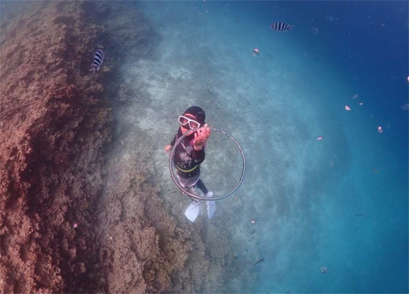 일본 오키나와｜푸른동굴 밖 프리다이빙 체험 이미지 4