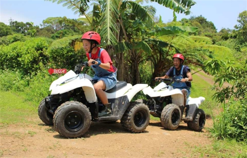 일본  오키나와 얀바루 버기 어드벤처 얀바룬차 히가시촌 사륜버기 체험 운... 솔직 후기 | 실사용자 리뷰 분석 - 대표 이미지