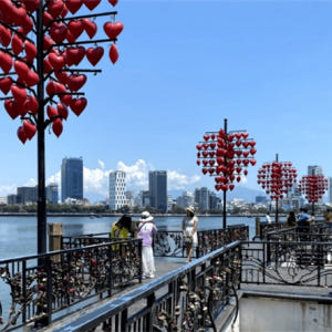 베트남 다낭 프라이빗 차량투어 솔직 후기 | 실사용자 리뷰 분석 - 상품 이미지 3