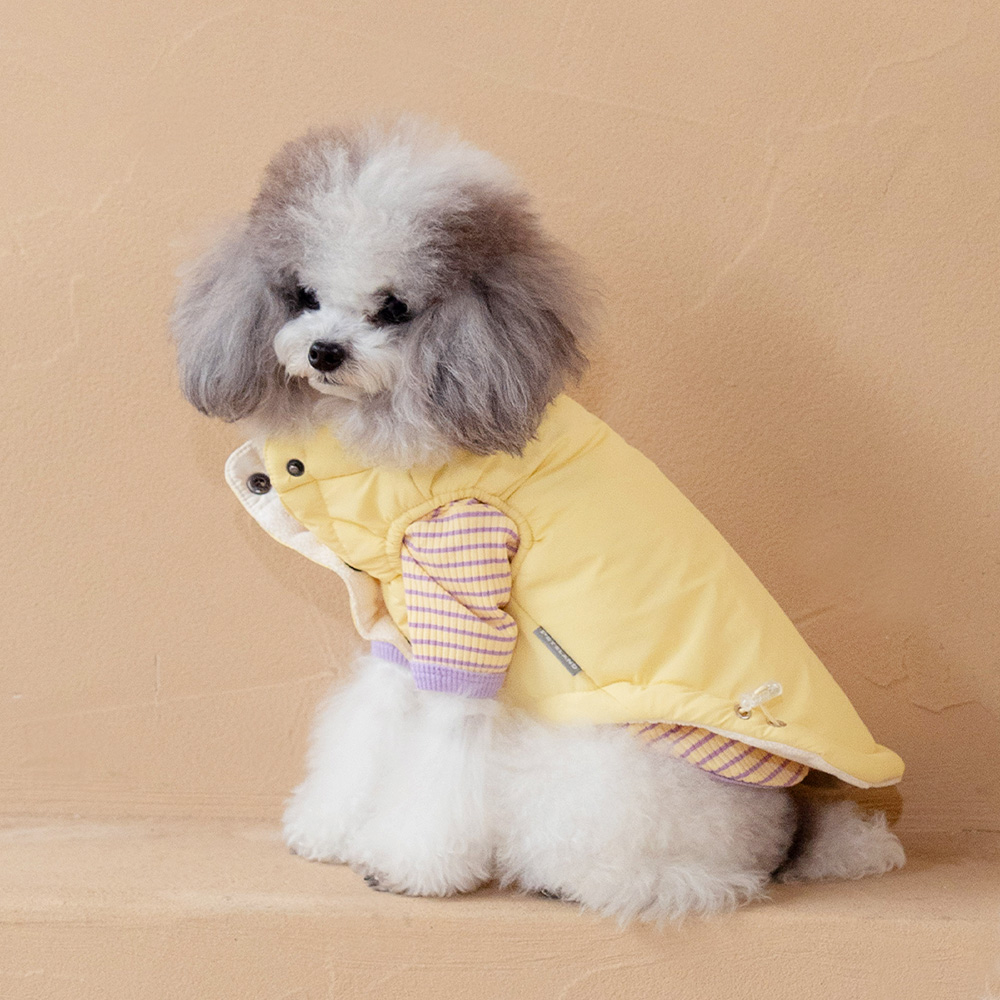 강아지 패딩 조끼 겨울옷 강아지옷 아루패딩조끼