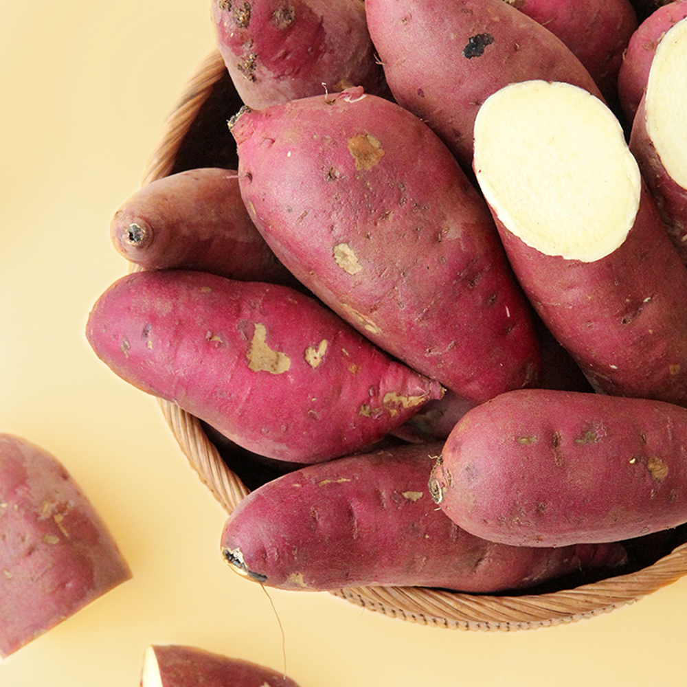 고창 황토 꿀고구마 햇 베니하루카 밤고구마