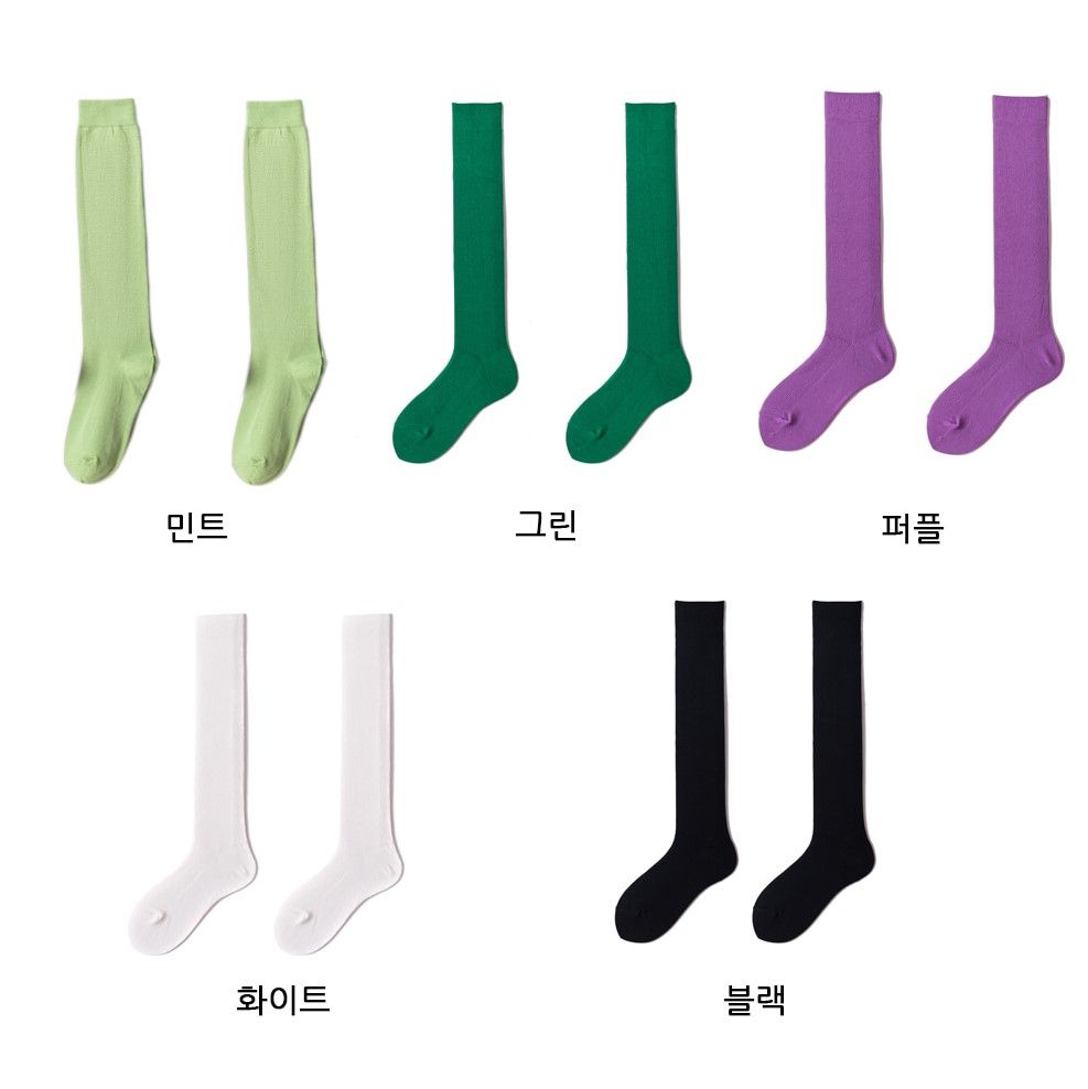 컬러 니삭스 코디 종아리 양말 롱 긴양말 코디 - 상세 이미지 2