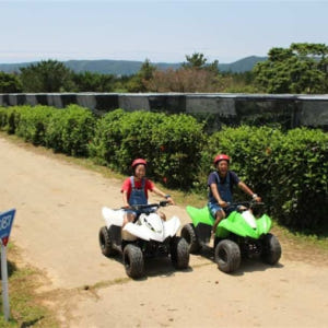 일본  오키나와 얀바루 버기 어드벤처 얀바룬차 히가시촌 사륜버기 체험 운... 솔직 후기 | 실사용자 리뷰 분석 - 상품 이미지 3