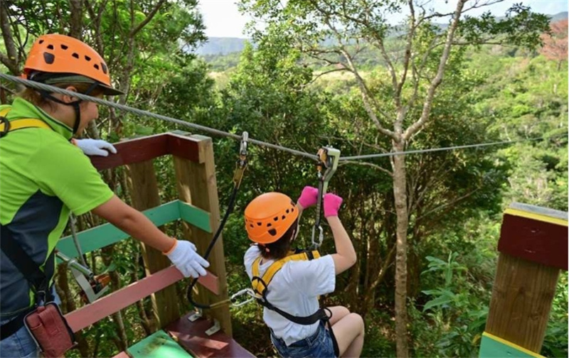 일본  오키나와 얀바루 짚라인 어드벤처 짚라인 체험 예약 얀바룬차 히가시무라 점(오키나와현 북부 얀바루 숲/액티비티) 이미지 3