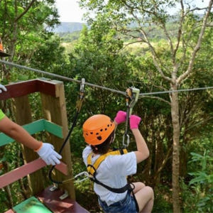 일본  오키나와 얀바루 짚라인 어드벤처 짚라인 체험 예약 얀바룬차 히가시... 솔직 후기 | 실사용자 리뷰 분석 - 상품 이미지 3
