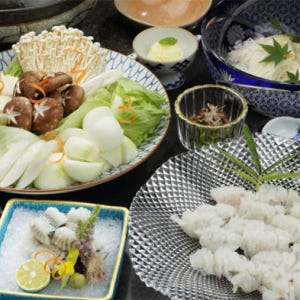 일본 오사카  미쉐린 복어 맛집 타코안  온라인 예약 솔직 후기 | 실사용자 리뷰 분석 - 상품 이미지 1