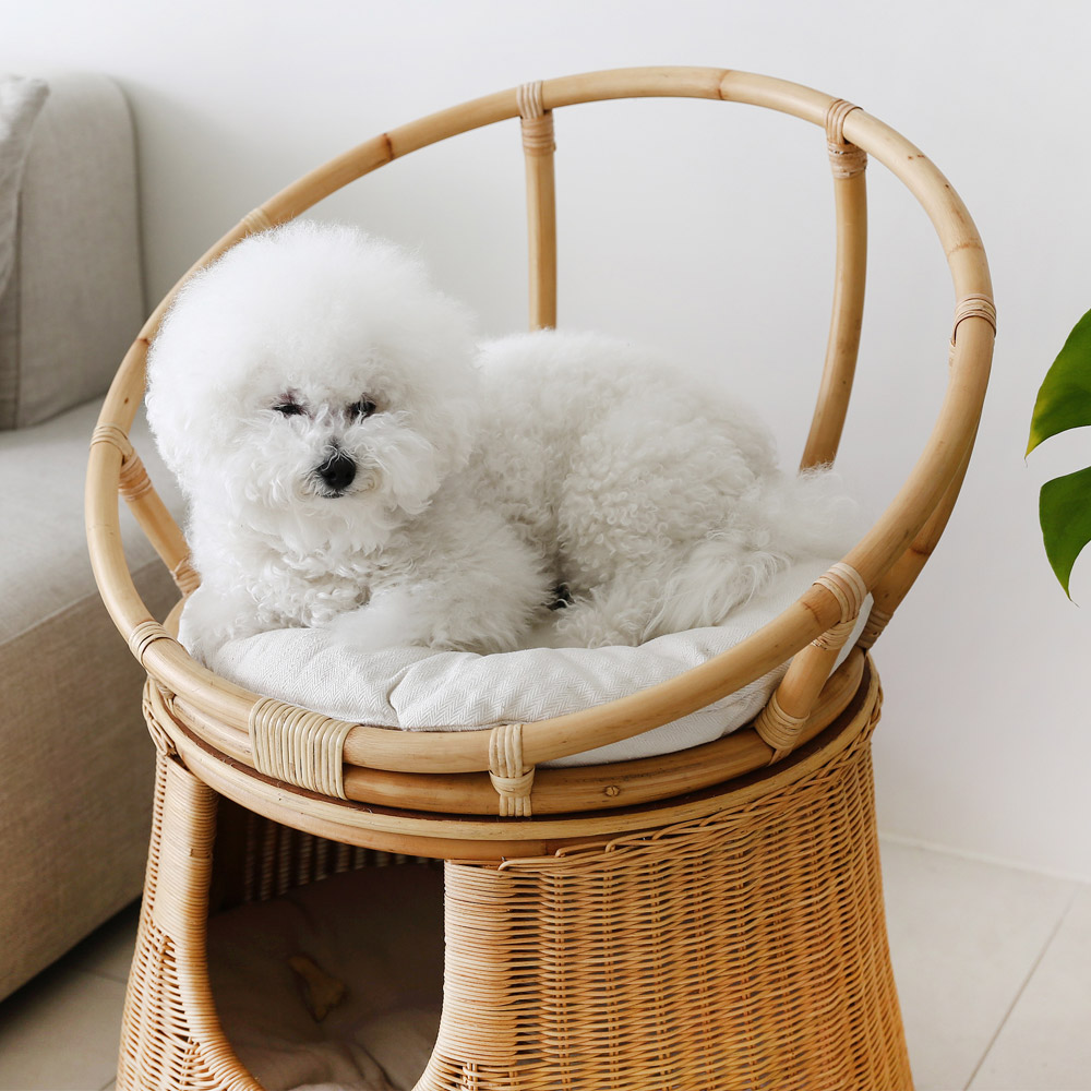 라탄 고양이집 의자 숨숨집 고양이텐트 원목 강아지 애견 펫 동굴하우스