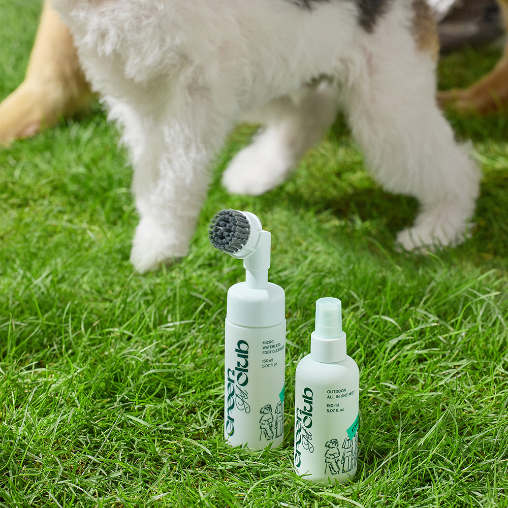 이니스프리 그린펫클럽 꼼꼼 워터리스 발세정제 150mL [동물용 의약외품] 이미지 2