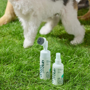 이니스프리 그린펫클럽 꼼꼼 워터리스 발세정제 150mL [동물용 의약외품... 솔직 후기 | 실제 사용자 리뷰 총정리 - 상품 이미지 2