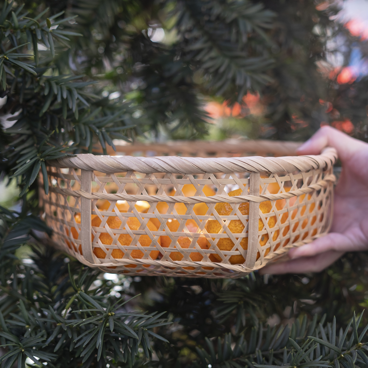 노던팜스 대나무 원형 수납 바구니 S 라탄 우드 인테리어 정리함