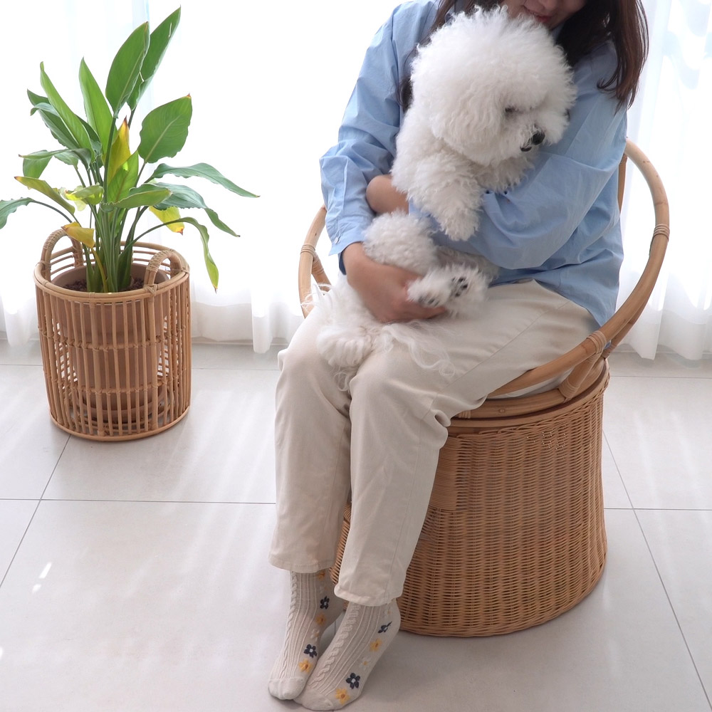 라탄 고양이집 의자 숨숨집 고양이텐트 원목 강아지 애견 펫 동굴하우스