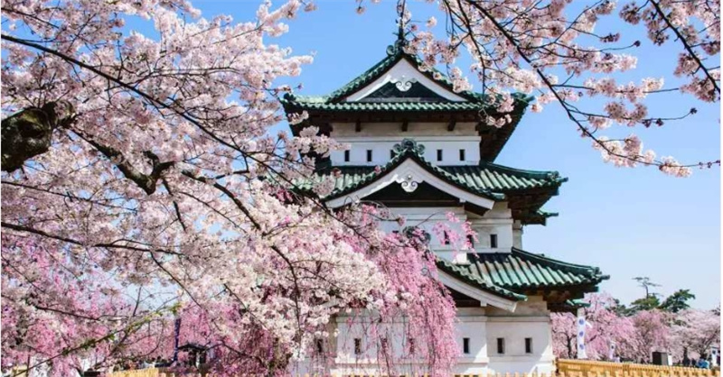 일본 JR 패스  도호쿠 및 남부 홋카이도 레일 패스  태국 도심 픽업 이미지 3