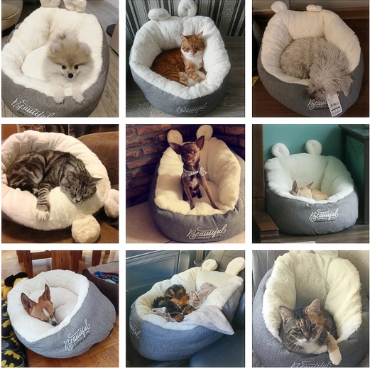 고양이 숨숨집 포근한 고양이 방석 1+1 - 상세 이미지 2
