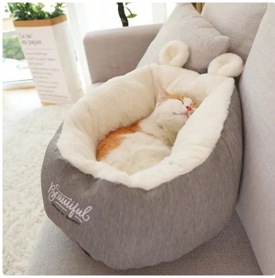 고양이 숨숨집 포근한 고양이 방석 1+1 - 상품 이미지