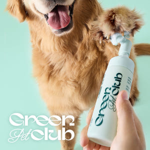 이니스프리 그린펫클럽 꼼꼼 워터리스 발세정제 150mL [동물용 의약외품... 솔직 후기 | 실제 사용자 리뷰 총정리 - 상품 이미지 1