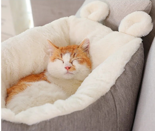 고양이 숨숨집 포근한 고양이 방석 1+1 - 상세 이미지 3