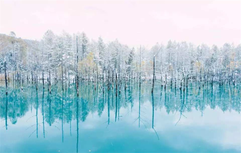 일본 JR 패스  도호쿠 및 남부 홋카이도 레일 패스  태국 도심 픽업 이미지 2