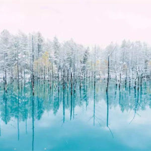 일본 JR 패스  도호쿠 및 남부 홋카이도 레일 패스  태국 도심 픽업 솔직 후기 | 실사용자 리뷰 분석 - 상품 이미지 2