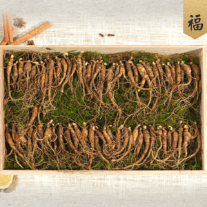 산삼 5~6년 못난이 30뿌리 산양삼 산양산삼 장뇌삼 맛있게 먹은 솔직 후기 - 상품 이미지 2