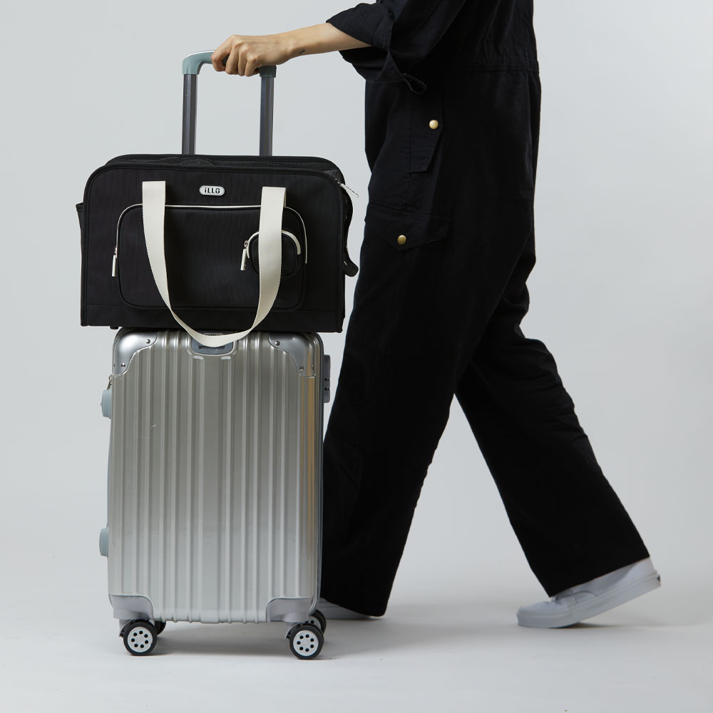 일로 레이백 기내용 반려견 이동가방 안전벨트 카시트 소형견 중형견 강아지 블랙, M