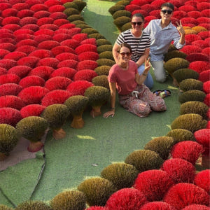 하노이 인센스 빌리지 & 철길 투어 (조인/프라이빗 선택 가능) 솔직 후기 | 실사용자 리뷰 분석 - 상품 이미지 1