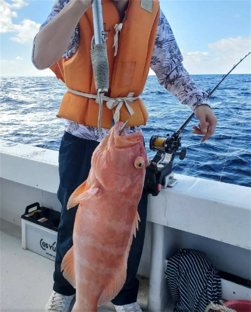 일본 오키나와 보트낚시 체험  작은 열대어는 물론 그루퍼 레오파드 코랄그루퍼 등 고급 어류도 낚을 수 있습니다  오키나와현 나하시 이미지 3