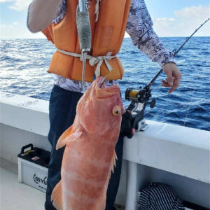 일본 오키나와 보트낚시 체험  작은 열대어는 물론 그루퍼 레오파드 코랄그... 솔직 후기 | 실사용자 리뷰 분석 - 상품 이미지 3