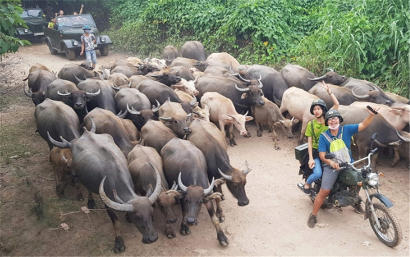 하노이 시골 빈티지 민스크 오토바이 투어 이미지 3
