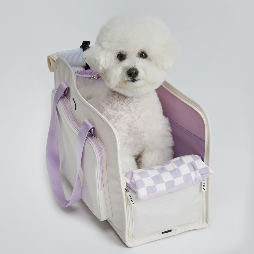 일로 레이백 기내용 반려견 이동가방 안전벨트 카시트 소형견 중형견 강아지 블랙, M