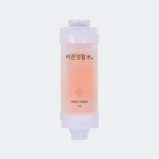 바른생활수 프리미엄 비타민 샤워필터 염소 녹물제거 샤워기 필터 unscented 상품 이미지