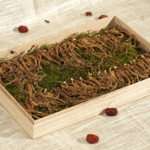 산삼 5~6년 못난이 30뿌리 산양삼 산양산삼 장뇌삼 맛있게 먹은 솔직 후기 - 상품 이미지 3